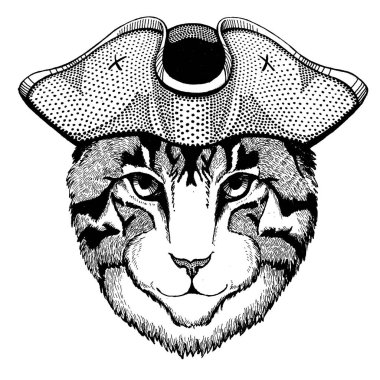 Korsan tricorn şapka kedi. Capitan kostüm.