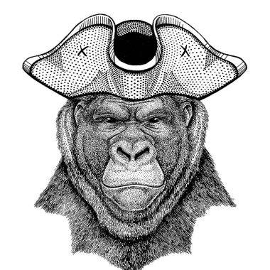 Goril, maymun, maymun