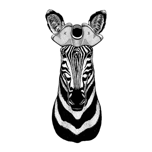 Zebra, cavallo con il cappello da tricorno pirata. Costume capitan . — Vettoriale Stock