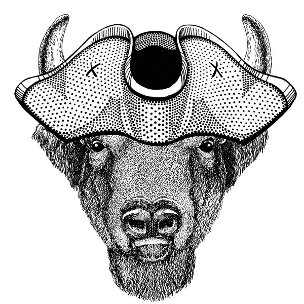 水牛、バイソン、牛、牛海賊トライコーン ハットを身に着けています。キャピタン衣装. — ストックベクタ