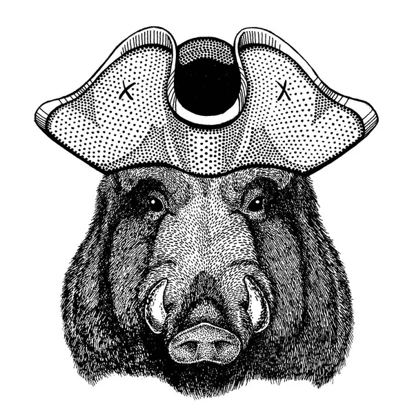 Aper, sanglier, porc, sanglier — Image vectorielle