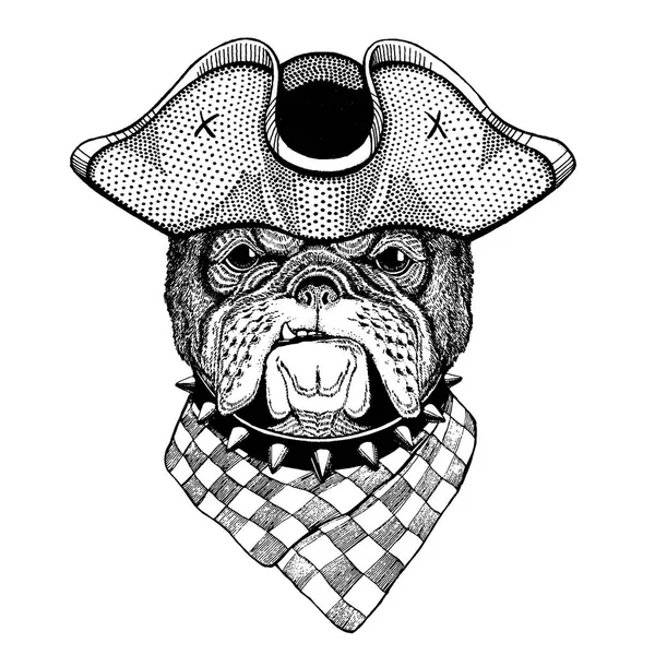 Perro, bulldog con sombrero de tricornio pirata. Disfraz Capitán . — Archivo Imágenes Vectoriales