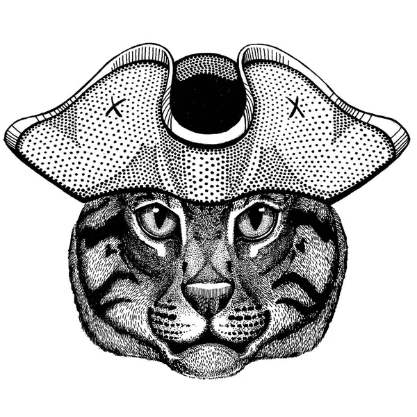 Gato pescador con sombrero de tricornio pirata. Disfraz Capitán . — Archivo Imágenes Vectoriales