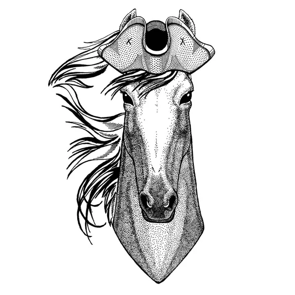 Cavallo, cavallo, cavaliere, destriero, cavaliere — Vettoriale Stock