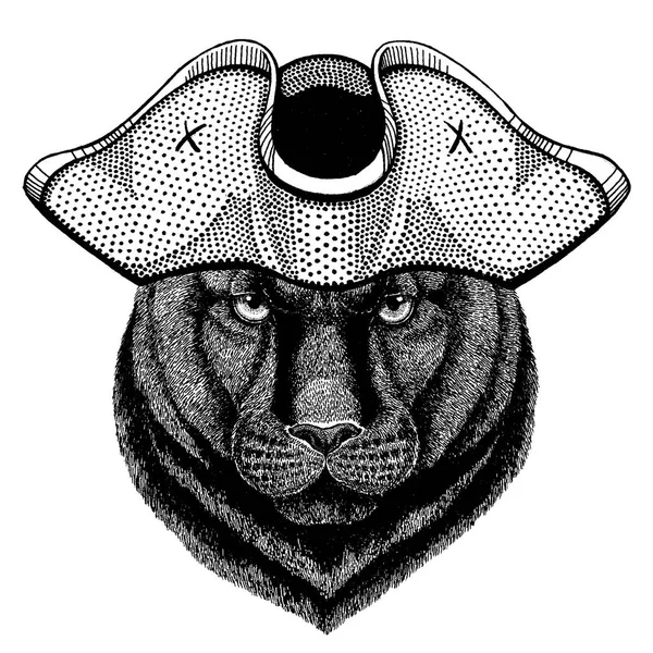 Puma Puma divoká kočka panter — Stockový vektor