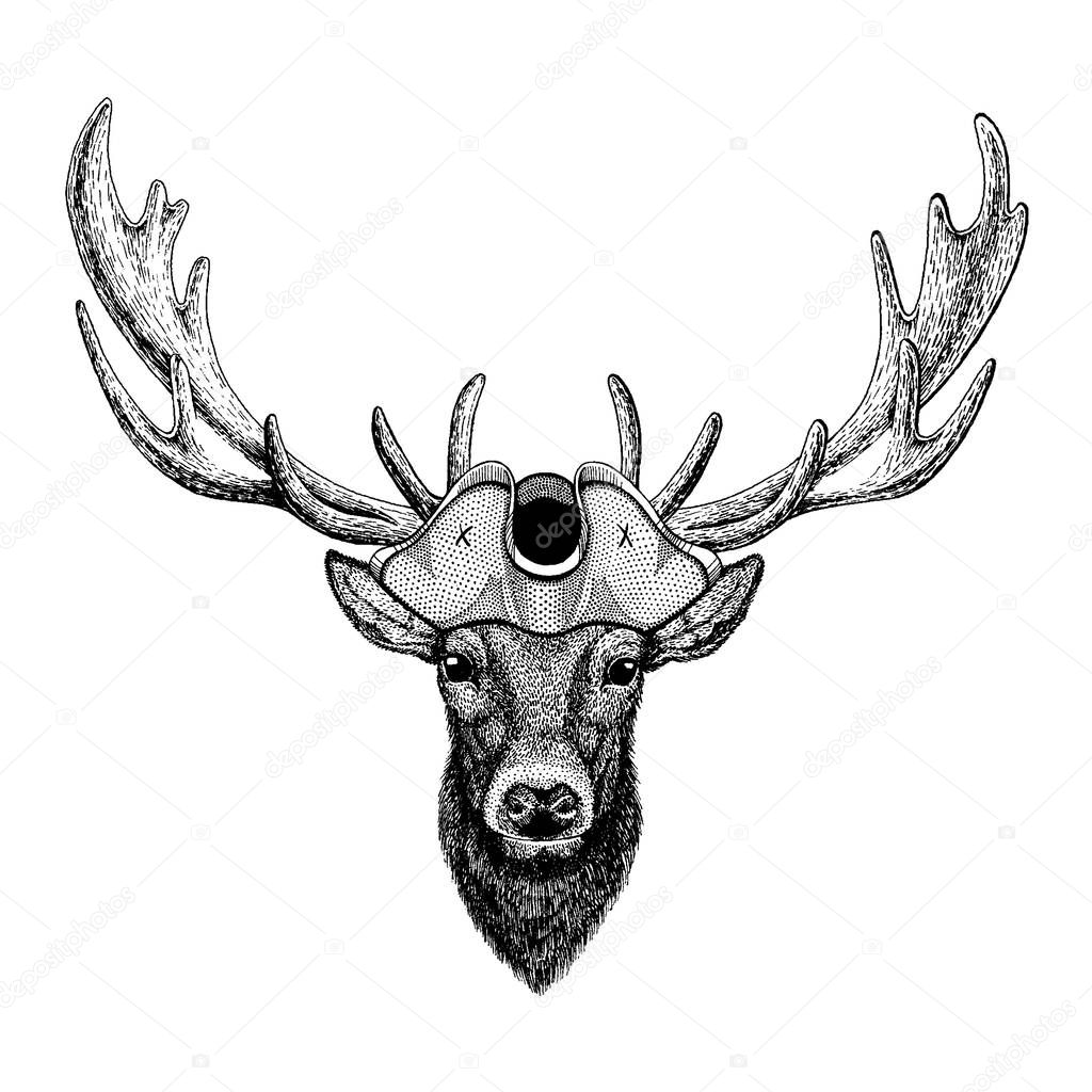 Wild animal wearing pirate tricorn hat. Capitan costume.