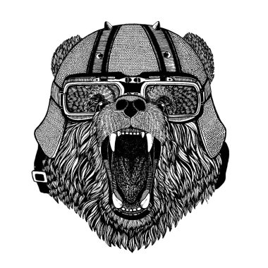 Ayı bir motosiklet, aero kask giyiyor. El dövme, t-shirt, amblem, rozet, logo, yama için resim çekilmiş.