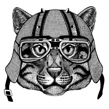 Balıkçı kedi bir motosiklet, aero kask giyiyor. El dövme, t-shirt, amblem, rozet, logo, yama için resim çekilmiş.
