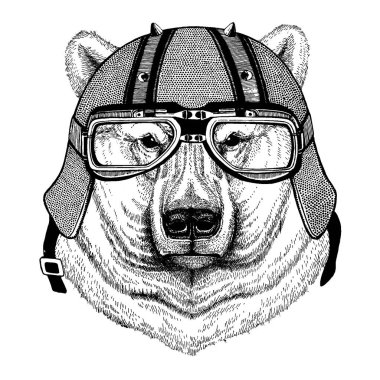 Kutup beyaz ayı bir motosiklet, aero kask giyiyor. El dövme, t-shirt, amblem, rozet, logo, yama için resim çekilmiş.