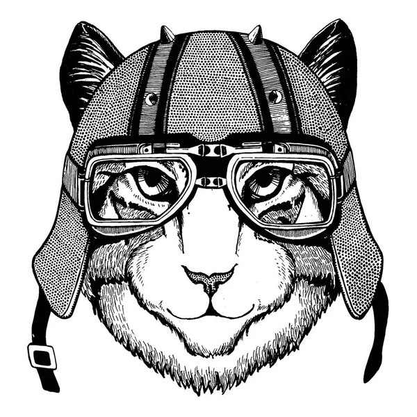 Kat het dragen van een motorfiets, een aero helm. Hand getekend afbeelding voor tattoo, t-shirt, embleem, badge, logo, patch. — Stockvector