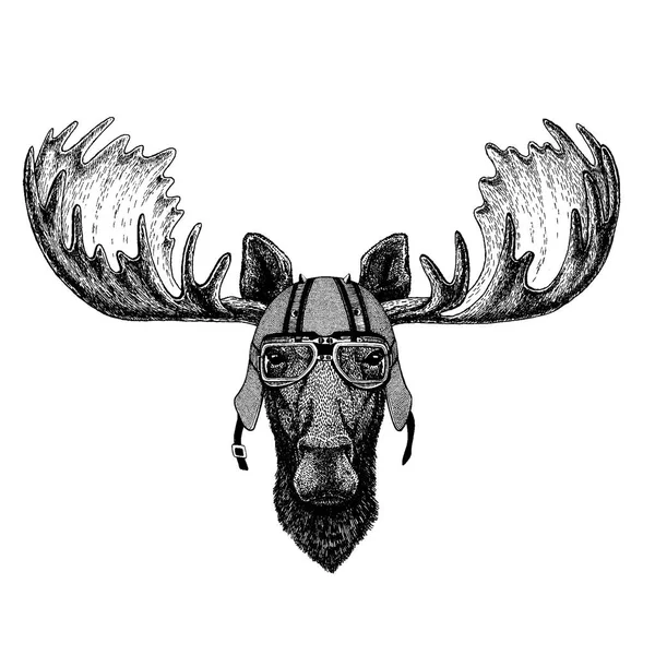 Moose, elk wearing a motorcycle, aero helmet. Hand drawn image for tattoo, t-shirt, emblem, badge, logo, patch. — Stock Vector