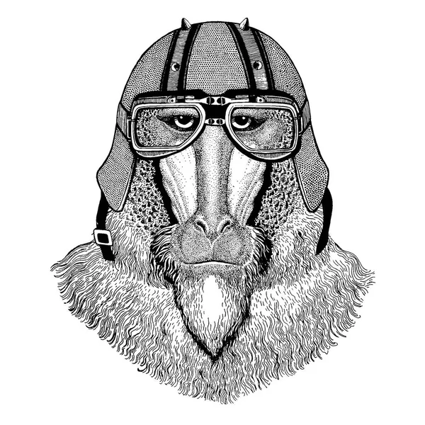 Mono, babuino, mono-perro, mono con una motocicleta, casco de avión. Imagen dibujada a mano para tatuaje, camiseta, emblema, insignia, logotipo, parche . — Archivo Imágenes Vectoriales