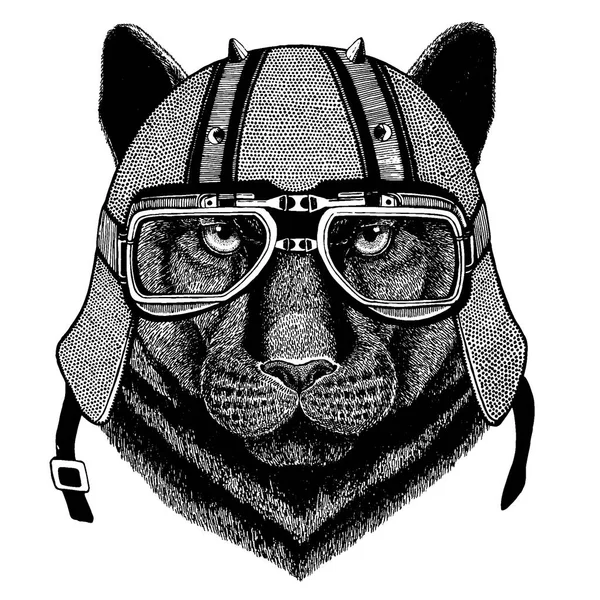 Puma, panthère, léopard, jaguar portant une moto, casque aéro. Image dessinée à la main pour tatouage, t-shirt, emblème, insigne, logo, patch . — Image vectorielle