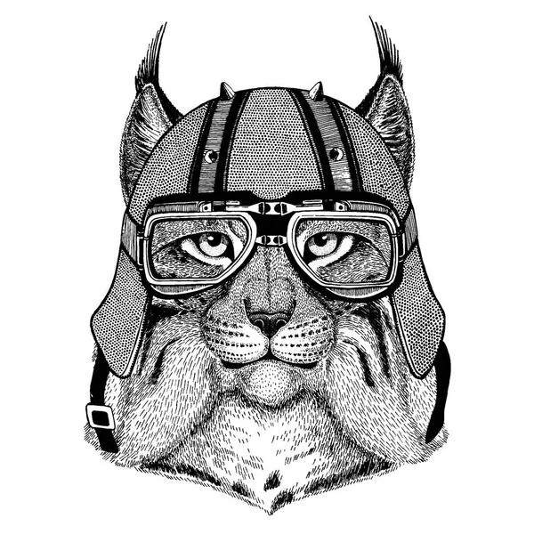 Lynx, chat sauvage, lynx, trot portant une moto, casque aéro. Image dessinée à la main pour tatouage, t-shirt, emblème, insigne, logo, patch . — Image vectorielle