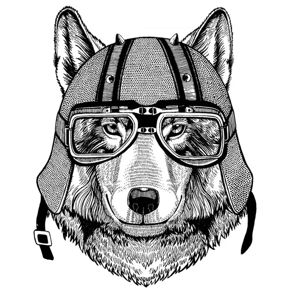 Wolf, dog wearing a motorcycle, aero helmet. Hand drawn image for tattoo, t-shirt, emblem, badge, logo, patch — Stock Vector