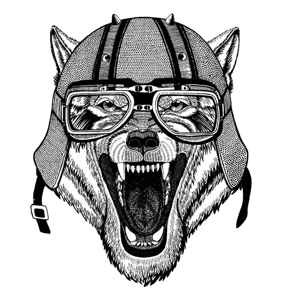 Wolf, dog wearing a motorcycle, aero helmet. Hand drawn image for tattoo, t-shirt, emblem, badge, logo, patch — Stock Vector