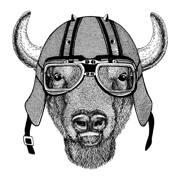 Buffalo, bison, oxe, tjuren iklädd en motorcykel, aero hjälm. Hand dras bilden för tatuering, t-shirt, emblem, badge, logotyp, patch — Stock vektor