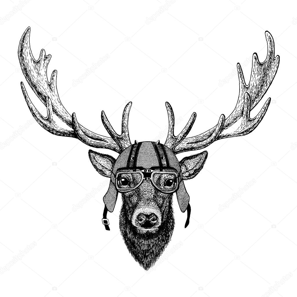 Animal wearing a motorcycle, aero helmet. Hand drawn image for tattoo, t-shirt, emblem, badge, logo, patch