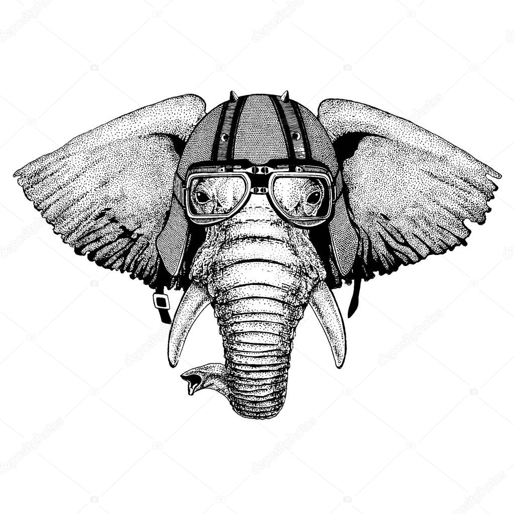 African, indian, elephant wearing a motorcycle, aero helmet. Hand drawn image for tattoo, t-shirt, emblem, badge, logo, patch