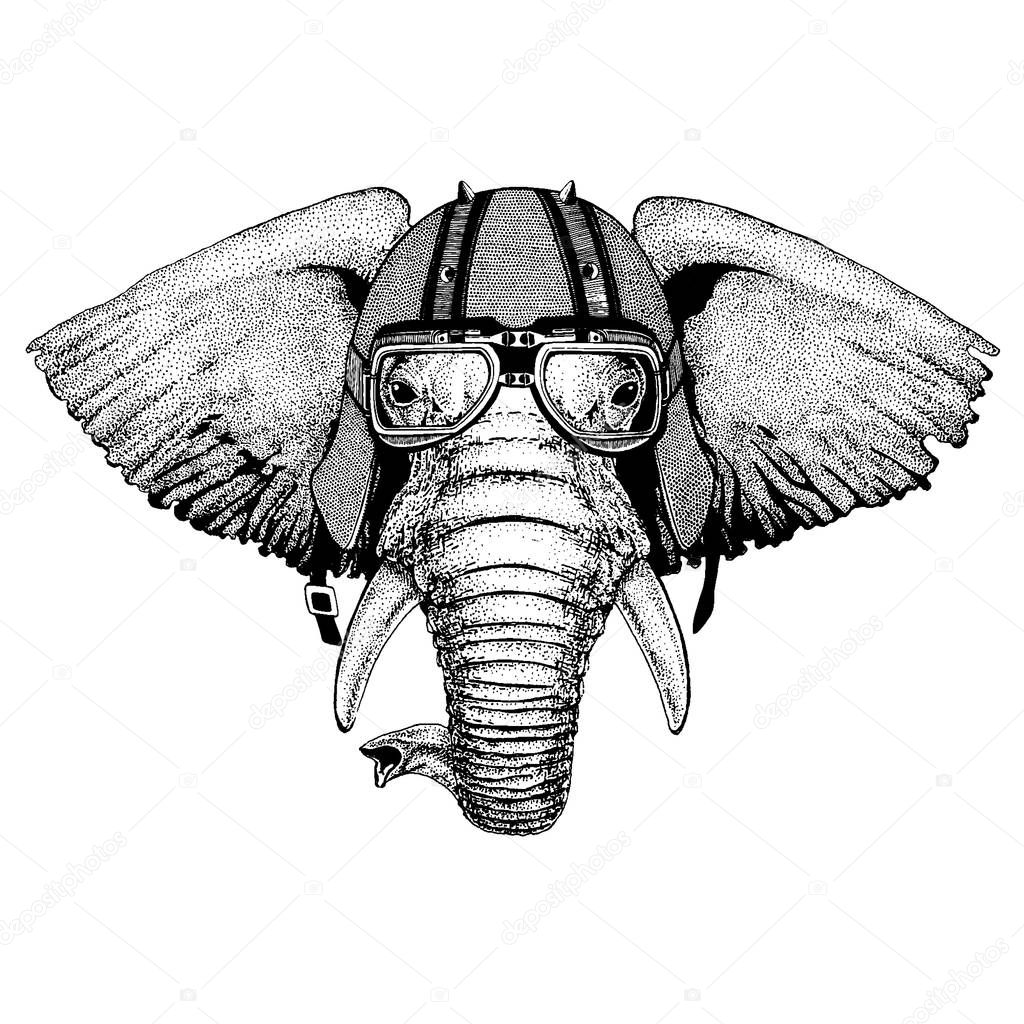 Animal wearing a motorcycle, aero helmet. Hand drawn image for tattoo, t-shirt, emblem, badge, logo, patch