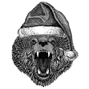 Noel giyen ayı Santa Claus şapka. El dövme, amblem, rozet, logo, yama için resim çekilmiş