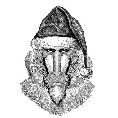 Maymun, maymun, köpek-maymun, maymun Noel giyen Santa Claus şapka. El dövme, amblem, rozet, logo, yama için resim çekilmiş