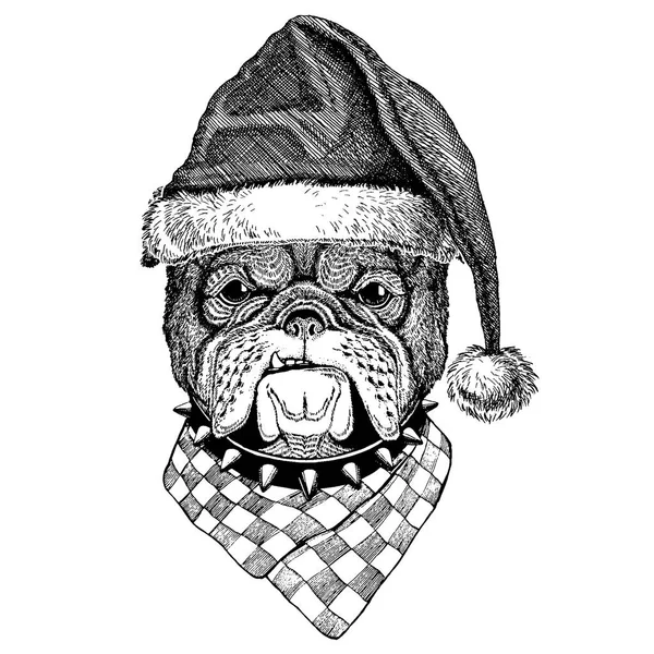 Chien, bouledogue portant le chapeau de Noël du Père Noël. Image dessinée à la main pour tatouage, emblème, insigne, logo, patch — Image vectorielle