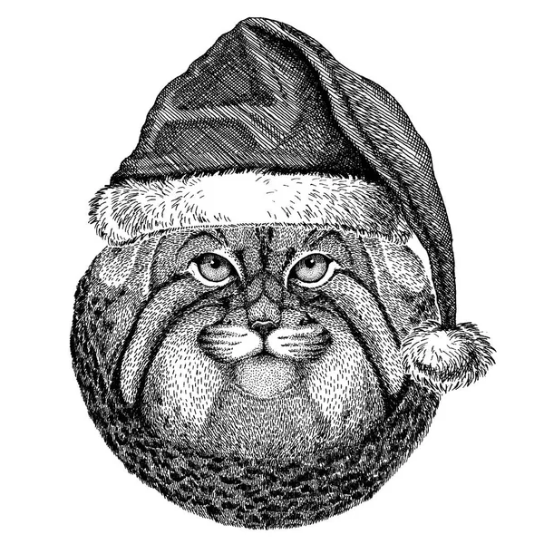 Wild cat Manul wearing christmas Santa Claus hat. Hand drawn image for tattoo, emblem, badge, logo, patch — Stock Vector