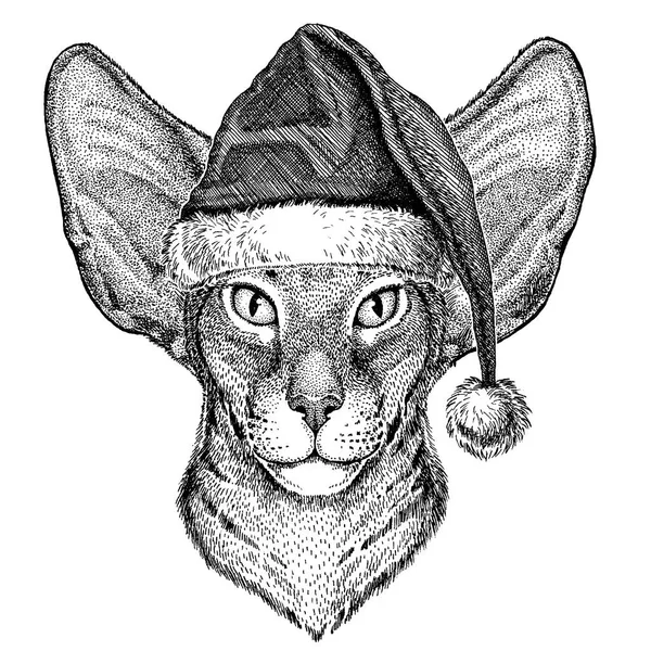 Gato oriental com orelhas grandes usando chapéu de Natal Papai Noel. Imagem desenhada à mão para tatuagem, emblema, emblema, logotipo, patch —  Vetores de Stock