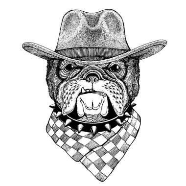 Kovboy şapkası giyen bulldog, köpek. Vahşi Batı hayvan. El dövme, amblem, rozet, logo, yama, t-shirt için resim çekilmiş