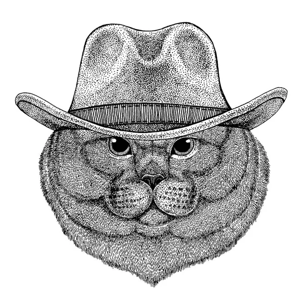 Кошка в ковбойской шляпе. Дикий Запад. Ручной рисунок для татуировки, эмблемы, значка, логотипа, пластыря, футболки — стоковый вектор
