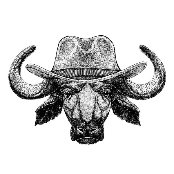 Buffalo, toro, bue con il cappello da cowboy. Un animale selvaggio. Immagine disegnata a mano per tatuaggio, emblema, distintivo, logo, patch, t-shirt — Vettoriale Stock