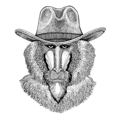 Maymun, maymun, köpek-maymun, maymun el çizilmiş resim dövme, amblem, rozet, logo, yama için