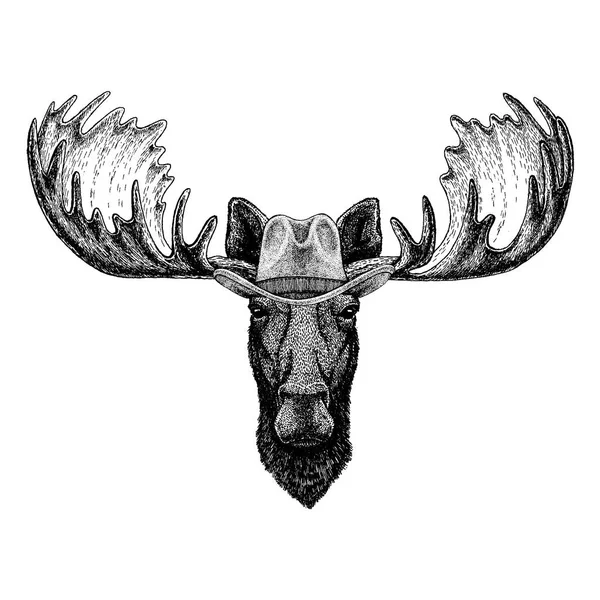 Moose, rusa memakai topi koboi. Hewan liar barat. Gambar gambar tangan untuk tato, lambang, lencana, logo, patch, t-shirt - Stok Vektor