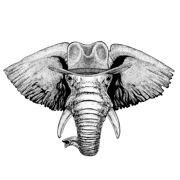 Elefante africano o indiano con cappello da cowboy. Un animale selvaggio. Immagine disegnata a mano per tatuaggio, emblema, distintivo, logo, patch, t-shirt — Vettoriale Stock