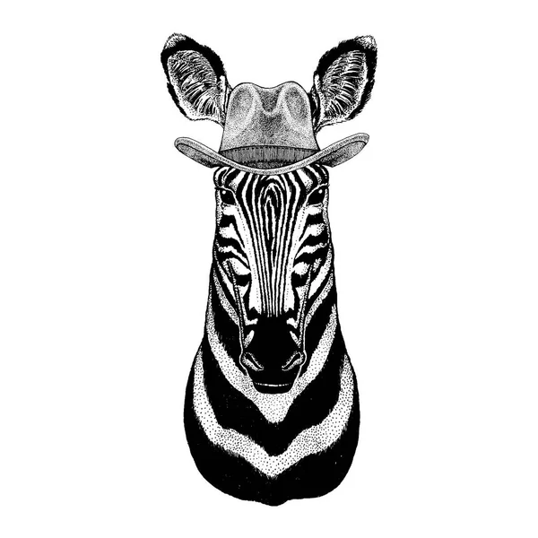 Zebra, ló a cowboy kalap viselése. Wild west állat. Kézzel rajzolt kép tetoválás, jelkép, jelvény, embléma, javítás, póló — Stock Vector