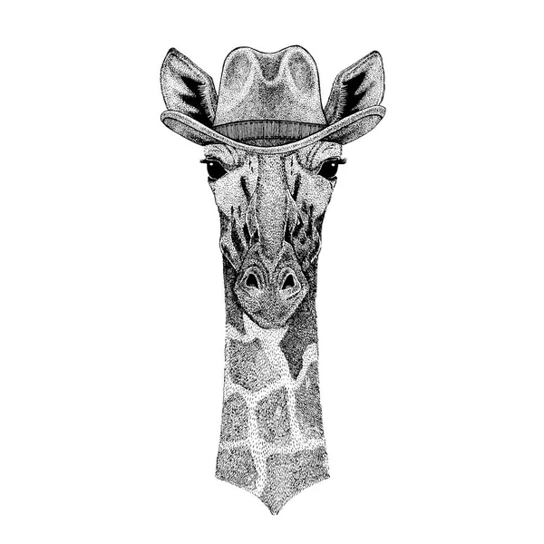 Camelopard, girafe portant un chapeau de cow-boy. Animal sauvage de l'ouest. Image dessinée à la main pour tatouage, emblème, insigne, logo, patch, t-shirt — Image vectorielle