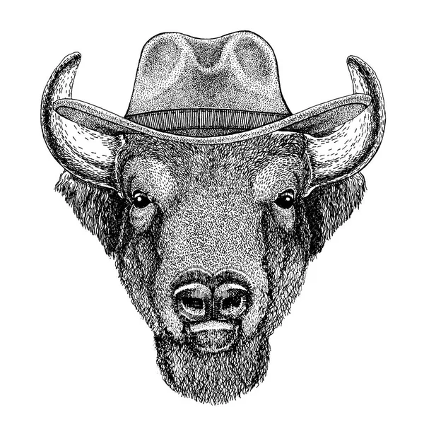 Buffalo, bison, bœuf, taureau portant un chapeau de cow-boy. Animal sauvage de l'ouest. Image dessinée à la main pour tatouage, emblème, insigne, logo, patch, t-shirt — Image vectorielle