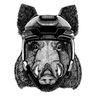 Aper, boar, hog, wild boar, animal wearing hockey helmet. Hand drawn image of lion for tattoo, t-shirt, emblem, badge, logo, patch. clipart