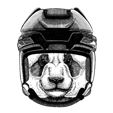 Panda, bambu ayı, hayvan giyen hokey kask. Aslan dövme, t-shirt, amblem, rozet, logo, yama için görüntü el çekilmiş.