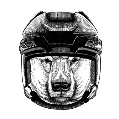 Ayı, kutup ayısı, hayvan giyen hokey kask. Aslan dövme, t-shirt, amblem, rozet, logo, yama için görüntü el çekilmiş.