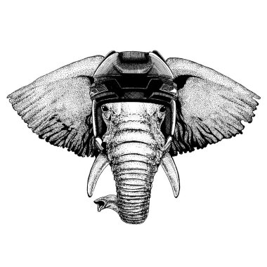 Afrika ya da Hindistan fil, hayvan giyen hokey kask. Aslan dövme, t-shirt, amblem, rozet, logo, yama için görüntü el çekilmiş.