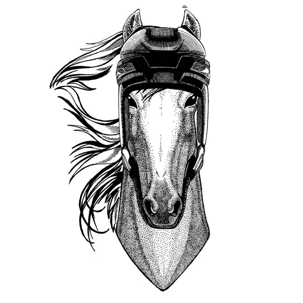 Cheval, hoss, chevalier, monture, coursier, casque de hockey animal. Image dessinée à la main du lion pour tatouage, t-shirt, emblème, insigne, logo, patch . — Image vectorielle