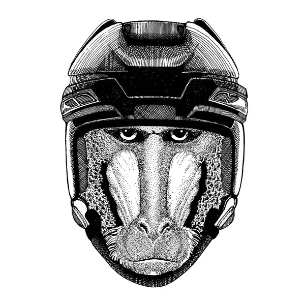 Monkey, baboon, dog-ape, ape animal wearing hockey helmet. Hand drawn image of lion for tattoo, t-shirt, emblem, badge, logo, patch. — Stock Vector