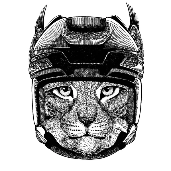 Wild cat, lynx, bobcat, trot, animal wearing hockey helmet. Hand drawn image of lion for tattoo, t-shirt, emblem, badge, logo, patch. — Stock Vector