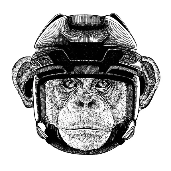 Шимпанзе, обезьяна, животное в хоккейном шлеме. Ручной рисунок льва для татуировки, футболки, эмблемы, значка, логотипа, нашивки . — стоковый вектор