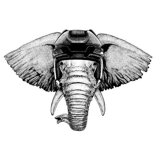 Afrika ya da Hindistan fil, hayvan giyen hokey kask. Aslan dövme, t-shirt, amblem, rozet, logo, yama için görüntü el çekilmiş.