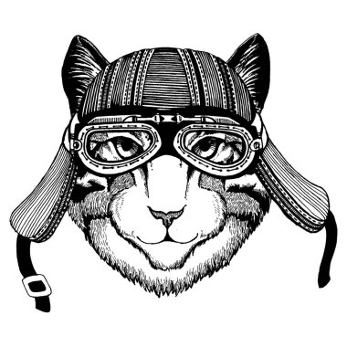 Vahşi kedi motorcu hayvan giyiyor motosiklet kask. El dövme, amblem, rozet, logo, yama, t-shirt için resim çekilmiş.