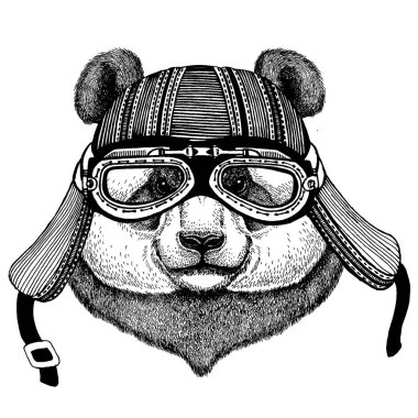 Panda, bambu motosiklet kask giyiyor vahşi motorcu hayvan ayı. El dövme, amblem, rozet, logo, yama, t-shirt için resim çekilmiş.