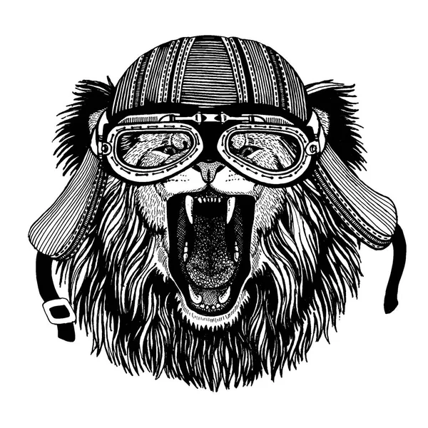 Vadon élő oroszlán motoros állati visel bukósisak. Kézzel rajzolt kép tetoválás, jelkép, jelvény, embléma, javítás, póló. — Stock Vector